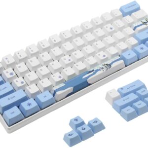 OEM Keycaps