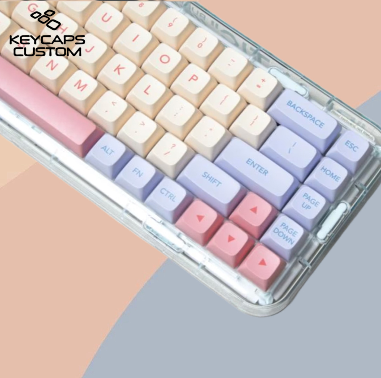6FBC46FC-3742-41DD-A54B-74731D69E74C